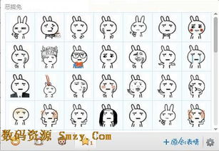 跪求恶搞兔敲碎你的膝盖qq表情包