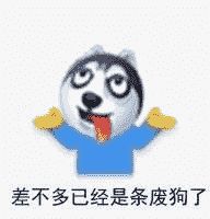 公安狗头指人表情包