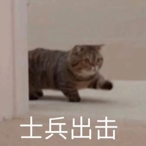 i电影可以推荐下喜剧片片吗