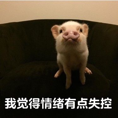 不服不行表情包图片
