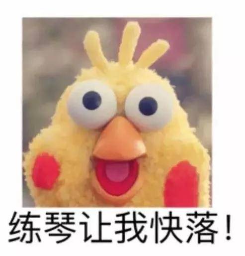 青岛琴行音乐表情包爆笑来袭对方不想练琴,并向你扔了个表情包
