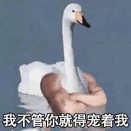 比心鸭子全套表情包分享