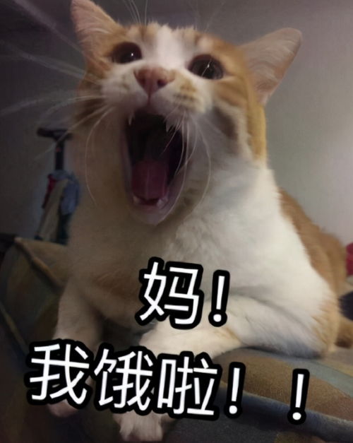 别喊妈她和7岁的儿子签下这份条约,结果出人意料