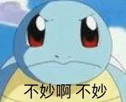 前方大量表情包出没杰尼龟咋就变成憨批代言人了