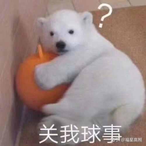 鄙视轻蔑无语表情包