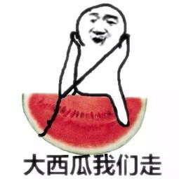 泸州蚊子被热死400天西瓜不烂这些哪比得过咱们coles的金刚不坏4天不化质量感人之冰淇淋