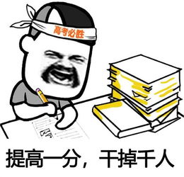 佳诚海马