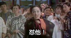 高级怼人表情包黄蜂歇在乌龟背,你敢伸头我敢锤
