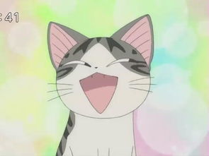 甜甜私房猫2