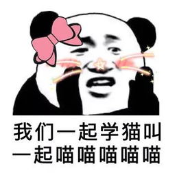 喵星人可以听懂自己的名字,是真的么