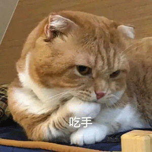 留学期末复习冲刺季qs官方考试建议还不收藏起来