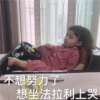 罗熙小可爱的仙女专用表情