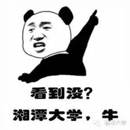 敢斗图吗湘大专属表情包,就不信你不收藏