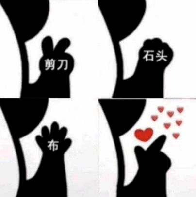 e句话看天下丨成都女孩交代行程,不是为了让人网暴