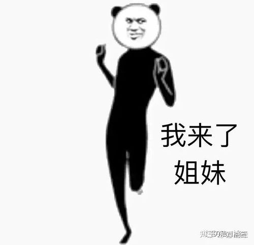 我的收藏