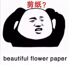 今天在渡劫的除了写中考作文,还有翻译英语四级
