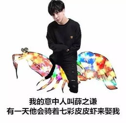 皮皮猪变身记