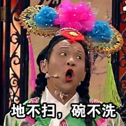 宋小宝文字表情包7