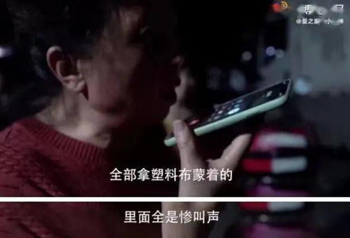 9块9包邮的活体盲盒,让我看到了人性中最恶心的一幕