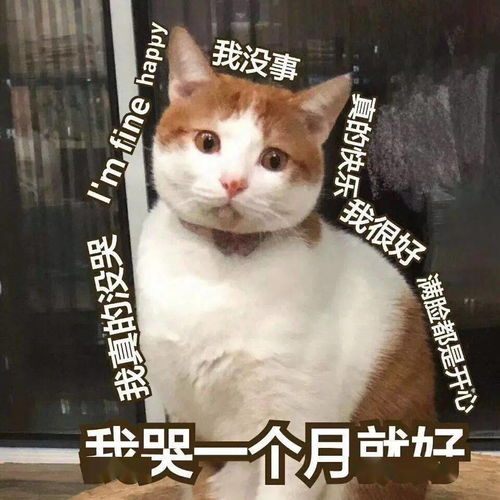 不玩了哭表情包