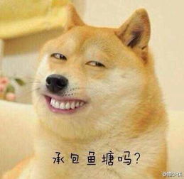谁有时下最热门得暴走表情有张翰还有狗狗得那张