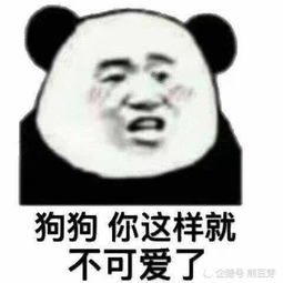 拥有这100个魔性表情包,你就是斗图王