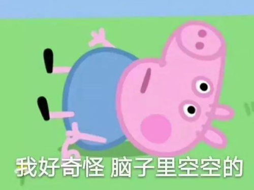 小猪佩奇粉色吹风机或成鸡年网红界最大赢家