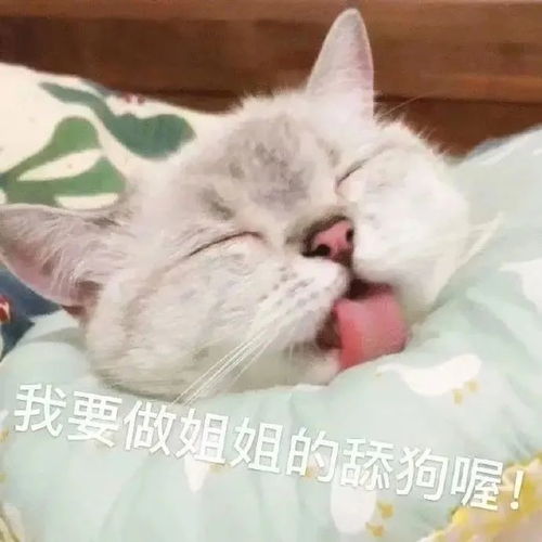 表情包发出了反派的笑声