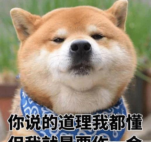 女朋友的闺蜜失恋了,叫我把兄弟介绍给她这谁配的上哈哈哈