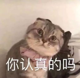 手机掉厕所伸手去捞结果悲剧连消防员都来了