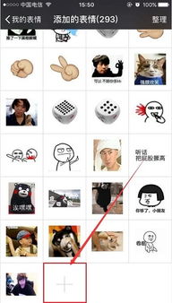 下载表情包的软件下载