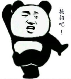 表情包熊猫头视频武功