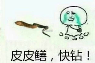 黄鳝女主播视频是什么意思直播琪琪破死亡谣言图
