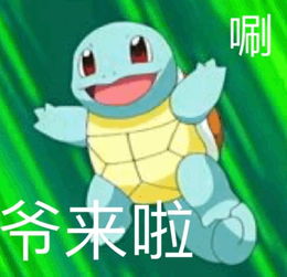 有没有杰尼龟的表情包分享一下
