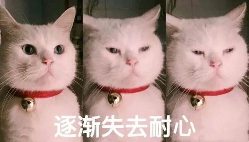 直播的坑怎么那么多主播防骗手册来啦