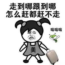 同安一居民凌晨3点蚊帐里拍死13只专家蚊子8天繁殖一代,当心传播这些疾病