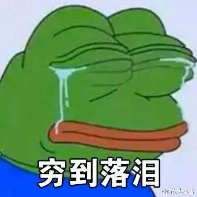 剁手之后