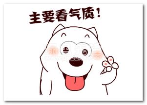 愁人的表情包雪橇三傻