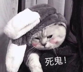 很受欢迎的搞怪的表情包放开我,我要做大胆的事情