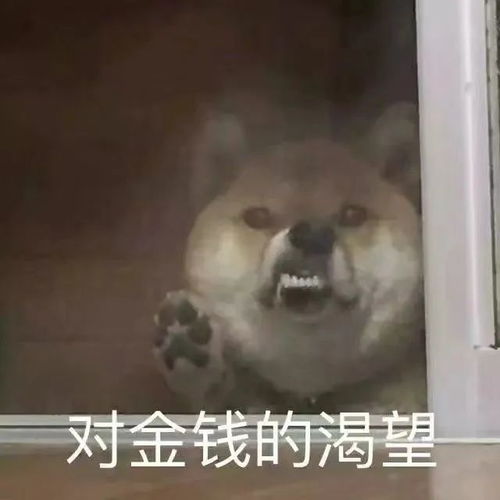 幽默逗趣的句子,日常一乐,精辟逗比,笑翻众人359坑爹小哥哥美女路考手机网易网