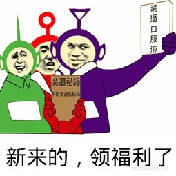 买车选车问答