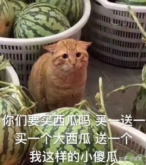 笔记本电脑该如何选择配置戴尔课代表靠谱吗