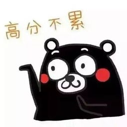 老妈怒吼考不过中级,就给我乖乖相亲去