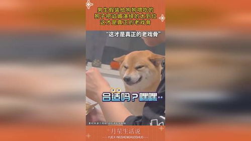 男生假装给狗狗喂吃的,狗子谄媚的表情太到位,这才是老戏骨