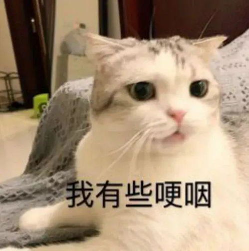 涉嫌严重违纪违法东莞一官员被查