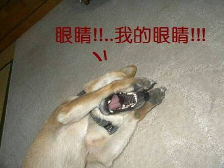 升博体育登录链接