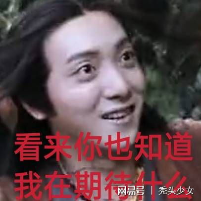 你不得不get的表情包之陈情令
