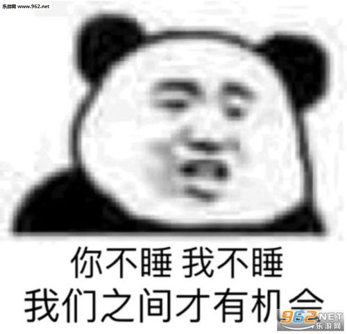 别说了咱俩适合表情包姐姐你的鞋表情包图片下载乐游网游戏下载