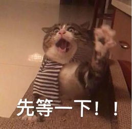 有奖互动丨就聊五块钱的你的工作和专业有关吗