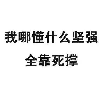 据说南方蟑螂会逐渐北爬隔着屏幕感受到北方人的战栗